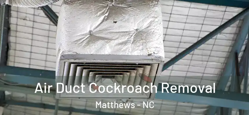  Air Duct Cockroach Removal Matthews - NC