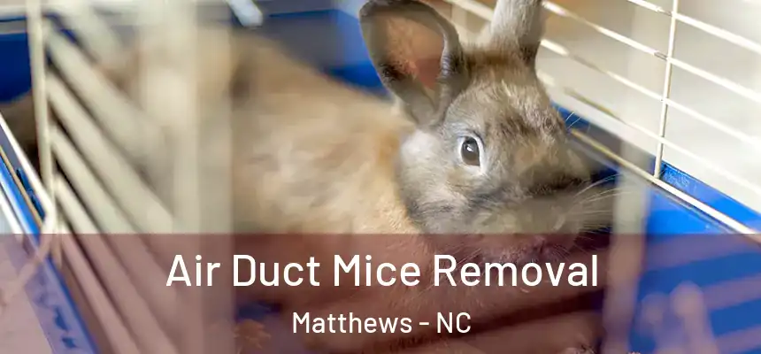 Air Duct Mice Removal Matthews - NC