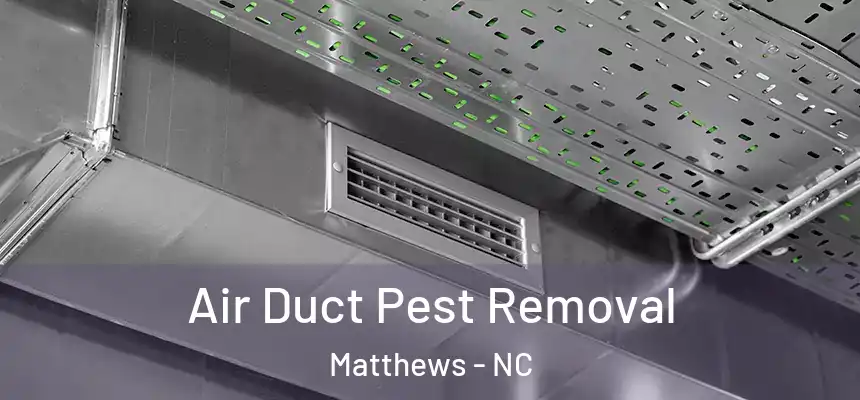 Air Duct Pest Removal Matthews - NC