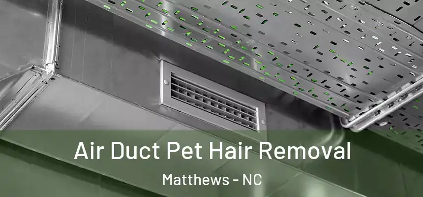 Air Duct Pet Hair Removal Matthews - NC
