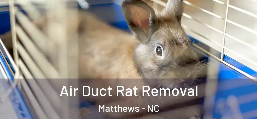 Air Duct Rat Removal Matthews - NC