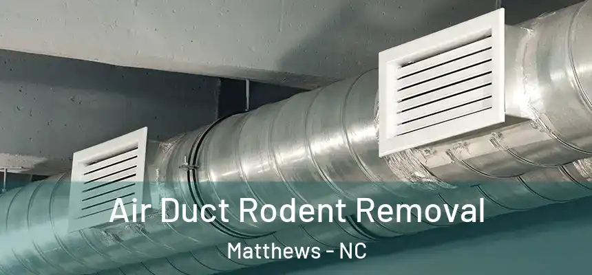 Air Duct Rodent Removal Matthews - NC