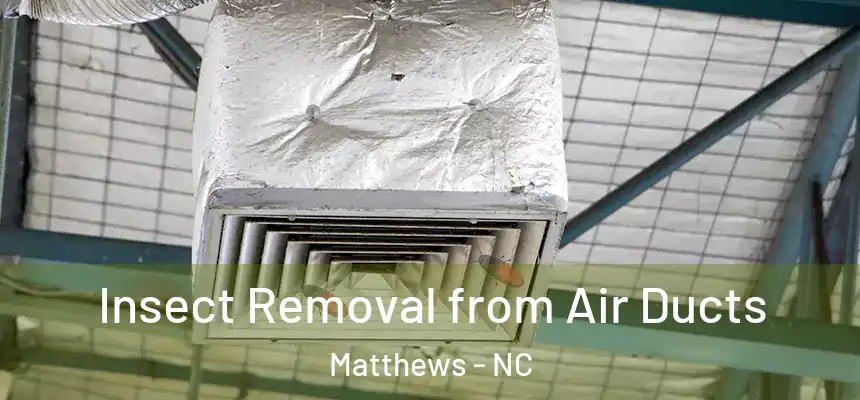 Insect Removal from Air Ducts Matthews - NC