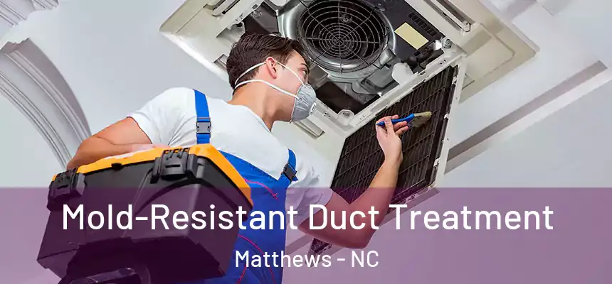Mold-Resistant Duct Treatment Matthews - NC