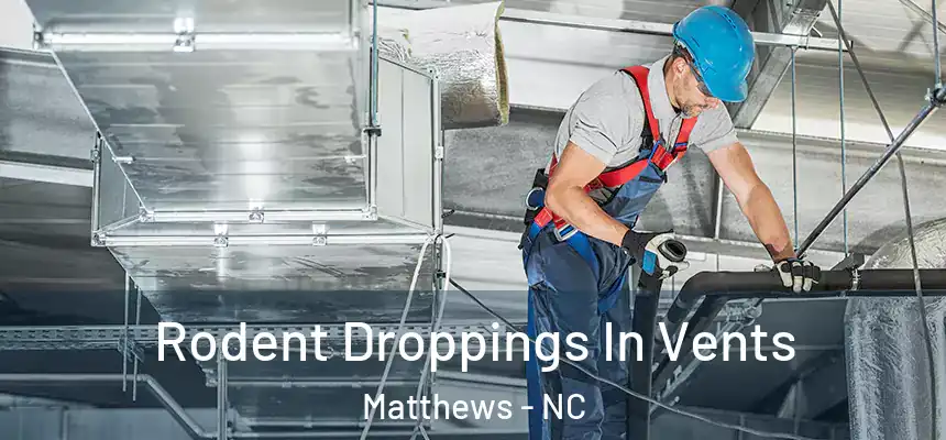 Rodent Droppings In Vents Matthews - NC