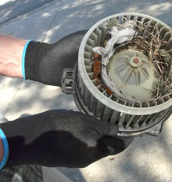 About Air Duct Mice Removal in Matthews, NC