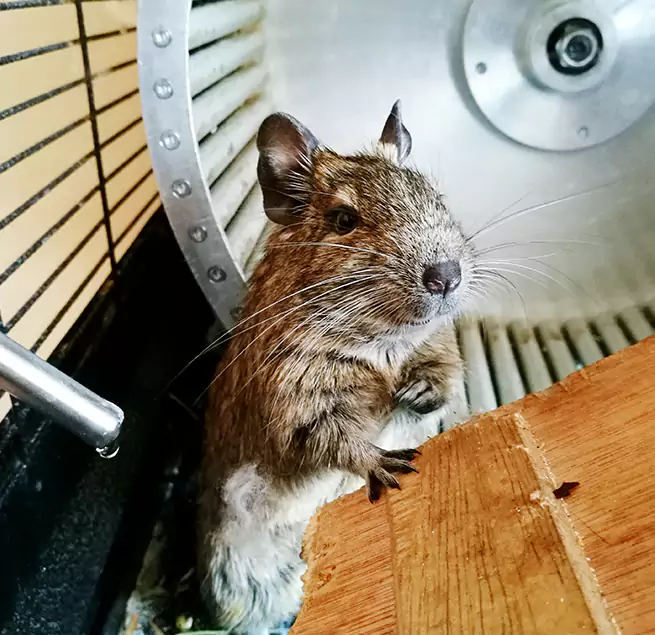 Why Homeowners & Businesses Trust Us Matthews, NC