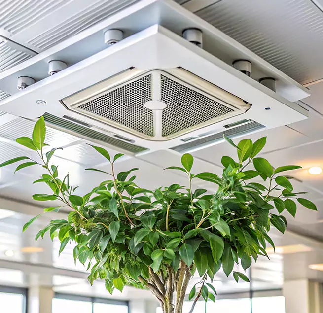 Why Homeowners & Businesses Trust Us in Matthews, NC?